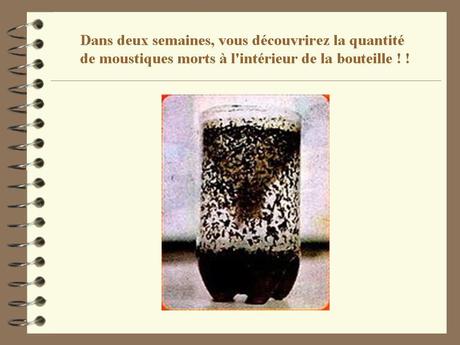 Divers - Combattre les moustiques