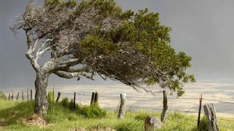 Vla le bon vent Vla l'joli vent