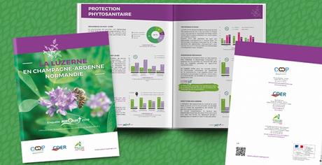 Mise En Place Stratégie : Site Internet Netflix – Agence Webdesign Et Graphisme à Rennes Mise En Place Stratégie : Site Internet Netflix – Agence Webdesign Et Graphisme à Rennes