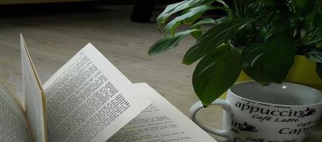 Le blog & moi #épisode 2: Le design d'un blog? Toute une histoire... Aucune description de photo disponible.