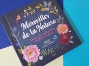 Merveilles Nature Découvre monde fabuleux fleurs pop-up Yoojin Kathryn Selbert