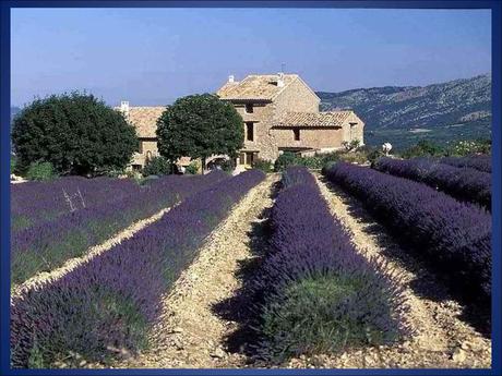 La France - La Provence.....