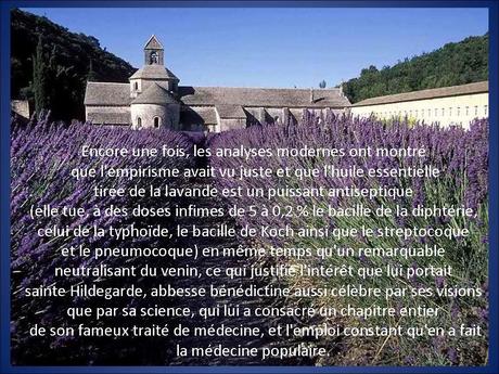 La France - La Provence.....