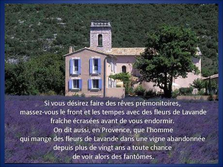 La France - La Provence.....