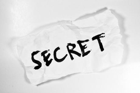 Critique Livre –  Le dilemme : auriez-vous osé garder un tel secret ?