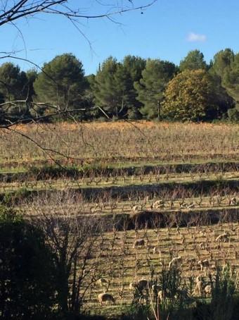 47687545_2253070748044466_3911866400859226112_n 47687545_2253070748044466_3911866400859226112_n