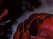 dames Cranford Elizabeth GASKELL