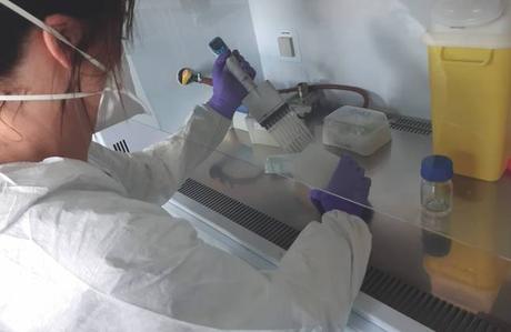Le Laboratoire TERANA réquisitionné pour réaliser les analyses PCR