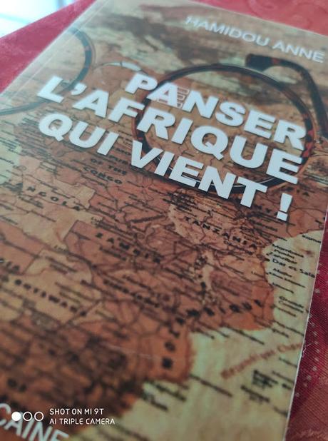 Hamidou Anne - Panser l'Afrique qui vient - DR Gangoueus