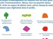 Gestion Site Internet Synonyme Agence référencement naturel Saint-Denis Réunion)