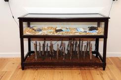 Anna Lee Davis ( Barbade ) Photo Gérard Germain