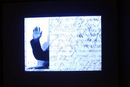 Ingrid Pollard ( Guyana) Photo Gérard Germain