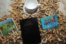 Anna Lee Davis ( Brabade) Détail)