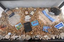 Anna Lee Davis ( Barbade ) Photo Gérard Germain détail