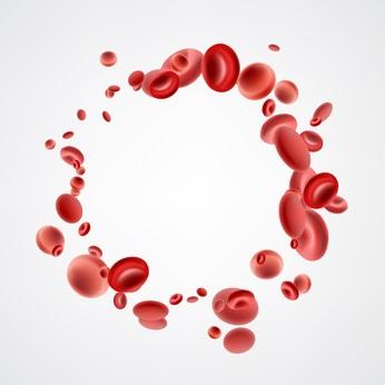 Ces globules rouges artificiels sont similaires en taille, en forme, en charge et en protéines de surface aux cellules naturelles (Visuel Fotolia-144168805_xs)