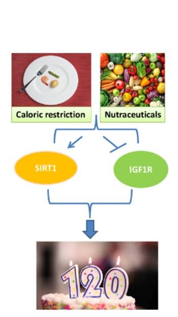 Visuel Current Nutraceuticals June, 2020 DOI : 10.2174/2665978601666200213121512 