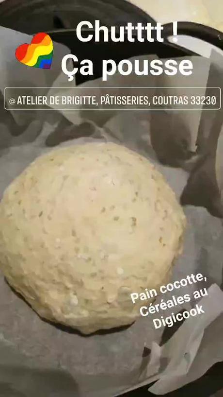Pain Cocotte, Céréales et Huile d'Olive