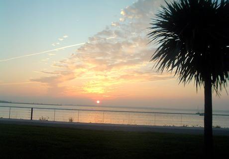 ceux qui viendront après