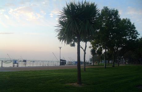 ceux qui viendront après