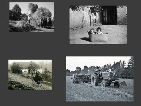 Divers - Te souviens-tu - 1