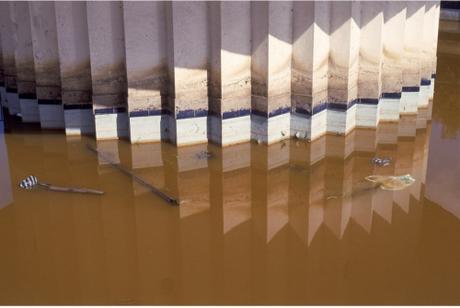 FEMMES ARTISTES DE LA CARAÏBE ET PHOTOGRAPHIE ( PART. III)