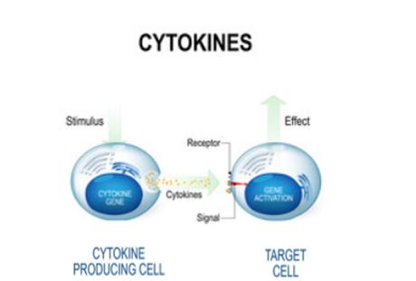 Visuel Adobe Stock Visuel Adobe Stock