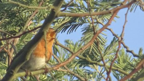 Orange dehors, orange dedans