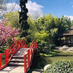 A visiter à Toulouse : les incontournables de juin