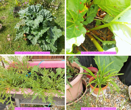 Salade d'épeautre à la vinaigrette à la Rhubarbe (Vegan)