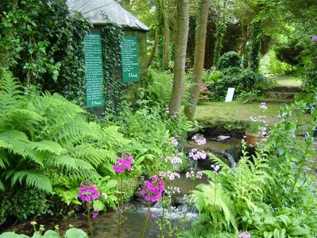 Nature et poésie – Jardins botaniques en hommage à Jacques Prévert