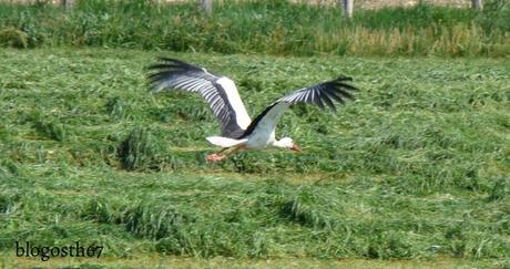 Emily & Storky – Épisode 4