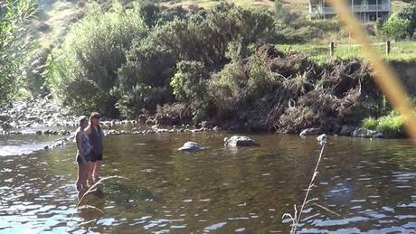 meilleur robot piscine comparatif meilleur robot piscine comparatif