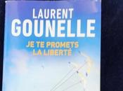 promets liberté Laurent Gounelle, lire c’est résident toutes solutions... Toutes.