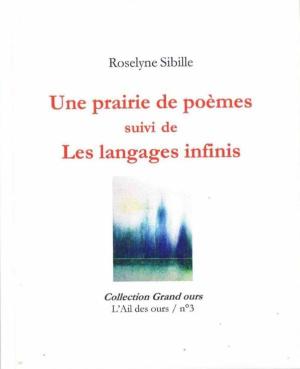 Roselyne Sibille, Les Langages infinis