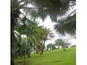 s’essayait nouveau détail