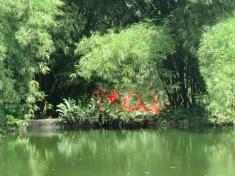 Et si on s’essayait de nouveau au jeu du détail ?