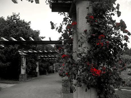 Il est l’ooooor d’aller au Parc de la Tête d’Ooooor Il est l’ooooor d’aller au Parc de la Tête d’Ooooor