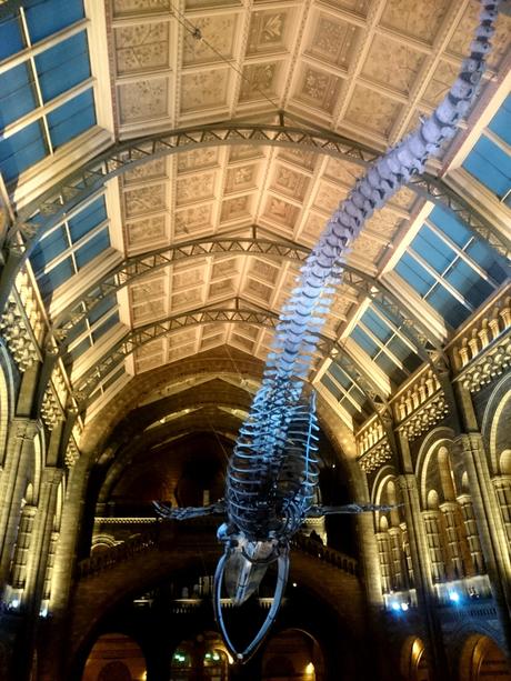 Une après-midi dans les musées de Londres…