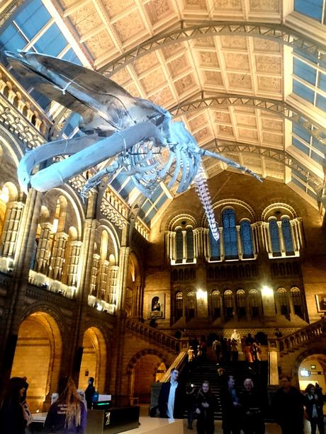 Une après-midi dans les musées de Londres…