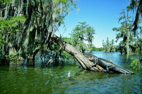 Sur la route… Sur la route…