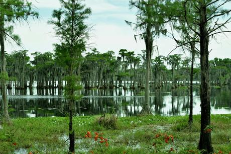 Sur la route… Sur la route…