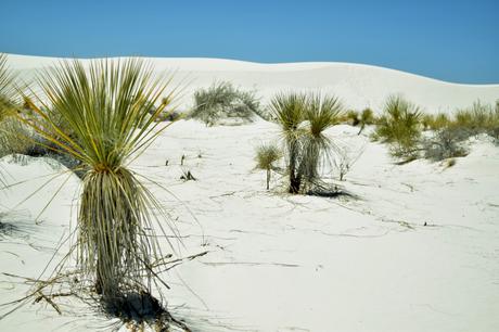 Sur la route… Sur la route…