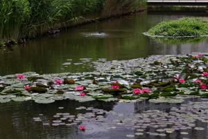 Batignolles architecture