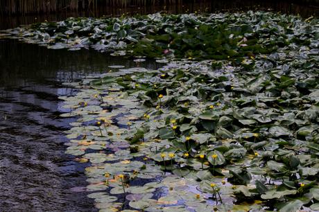 Batignolles architecture