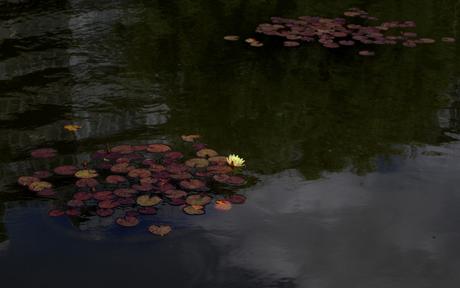 Batignolles architecture