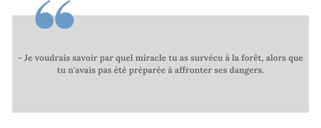 Le lac des Sylphes (Ezrael #1) • Natacha Le Grix