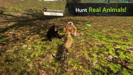 Télécharger Gratuit Panther Online  APK MOD (Astuce) 6