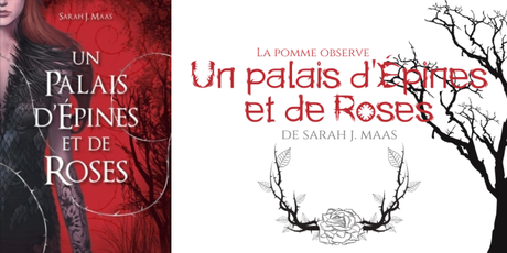 La Pomme observe #30 : Un palais d’Épines et de Roses