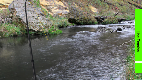 Télécharger Fly Fishing Simulator HD APK MOD (Astuce) Télécharger Fly Fishing Simulator HD APK MOD (Astuce) 6