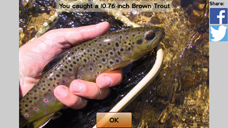 Télécharger Fly Fishing Simulator HD APK MOD (Astuce) Télécharger Fly Fishing Simulator HD APK MOD (Astuce) 3
